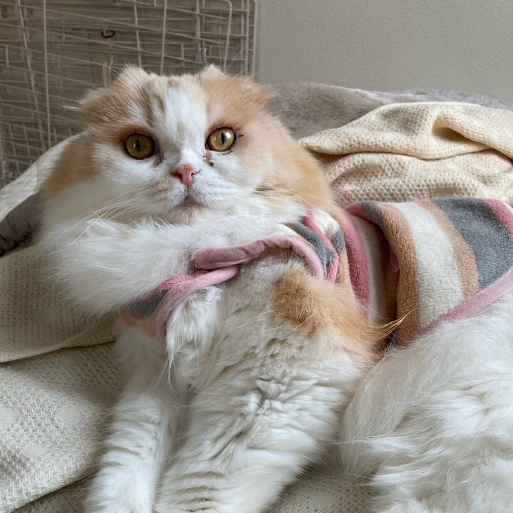 91e02dc3 0cbd 47e7 828b 7c21c1824e45 1718077285452