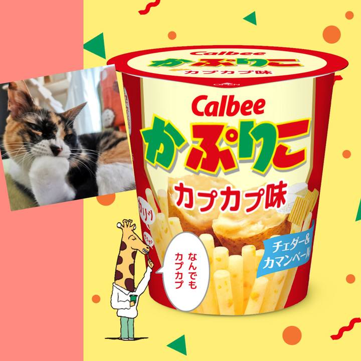 91e03eb0 1db8 4b97 9dc5 2fe39c38c7b8 1635391820017