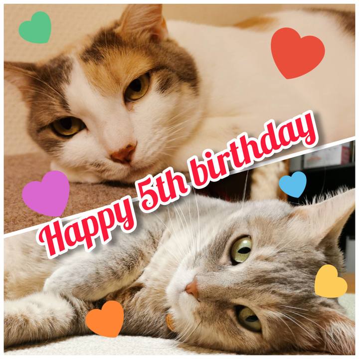 91e04748 4d1d 43ab 8b23 910c3ed10f67 1623633684103