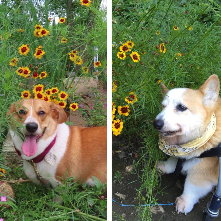 91e0607f 2917 4912 8ef8 1b1c1edfbdf3 1624149901391