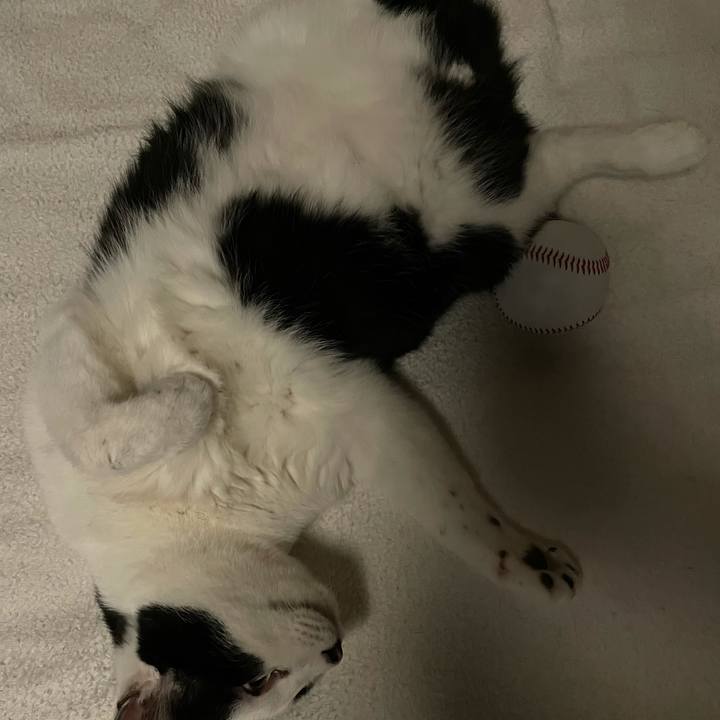 91e0780a a8f5 4684 a7f2 c6c3a32cd4db 1642675396746