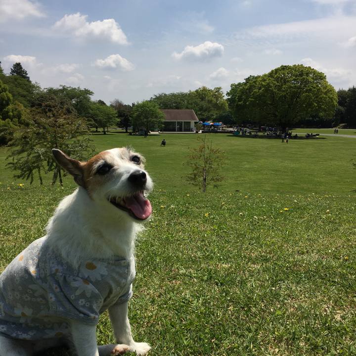 91e0c4ec c4e7 402f a138 7938b124095a 1650756169690