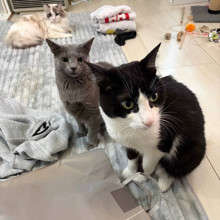 91e105ae 6f6e 4ee8 a0d0 c12f6720bca3 1766294997586