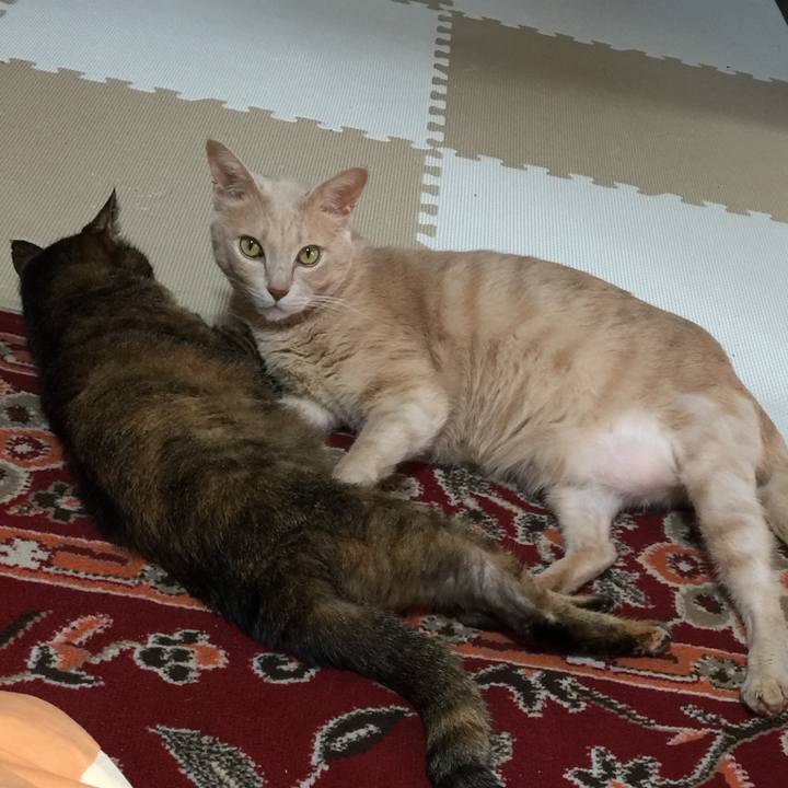 91e117d0 8c20 4a11 a0c5 437ed4aeb14f 1606915539140