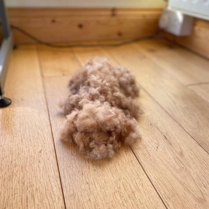 91e11c8c 4ca0 4a3e 9cc2 abd3e2fd6cc1 1675596850668