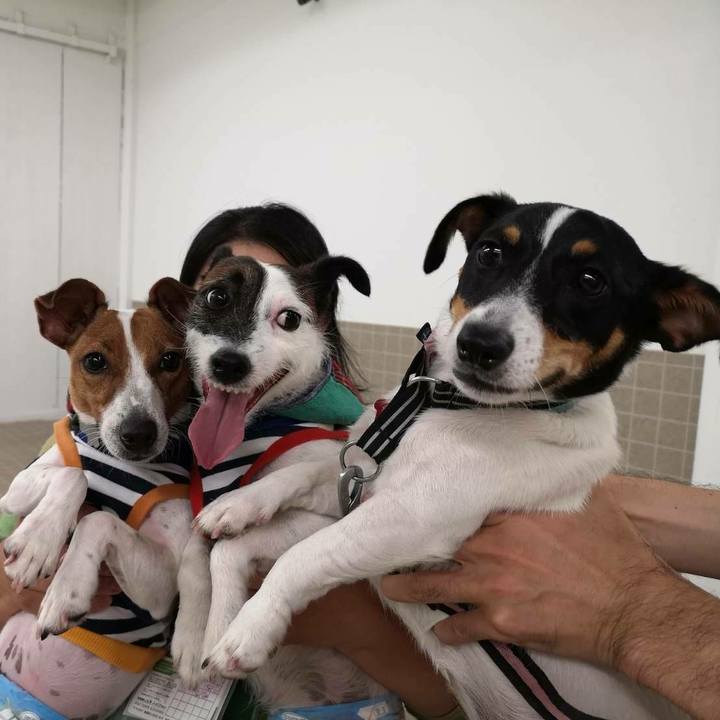 91e125d5 5620 4b3f a806 45f7df6db350 1532858141907