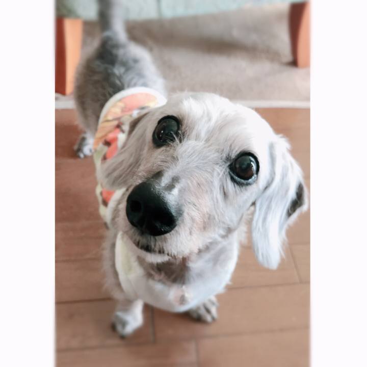 91e173ca 34e8 4e92 bca0 7236696eea3e 1535680238361