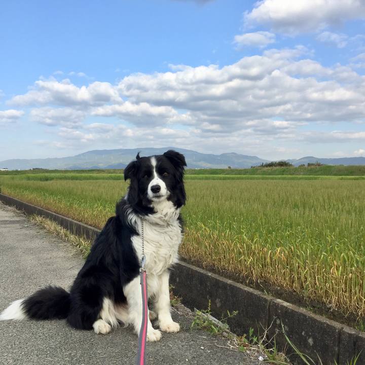 91e1785f 2475 4e2a b4a3 4d20801fabef 1587685248416