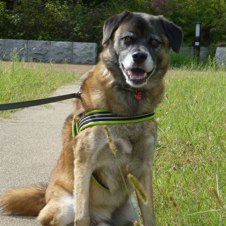 91e18222 e1dc 4573 9082 16ee85948140 1580607379700