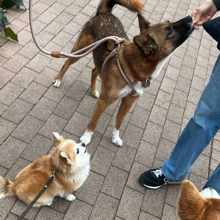 91e18524 811a 44fc 86c7 923c8dd17263 1773622438770