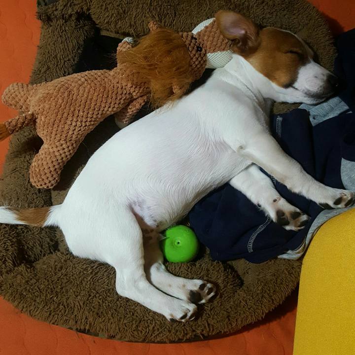 91e19355 432a 48ae ae27 d02515c38185 1554037736364