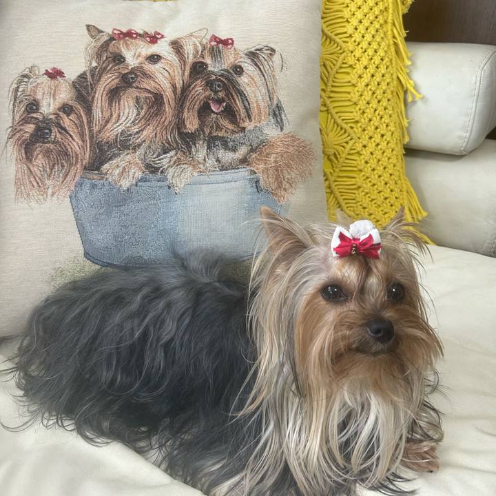 91e20dbe e457 45cb b499 5f5849cbc288 1750478326270