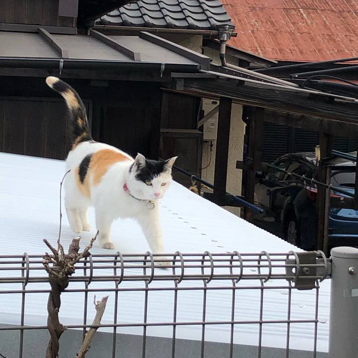 91e238e1 3e3b 4a52 8a65 744dc0bc7d87 1614427856561