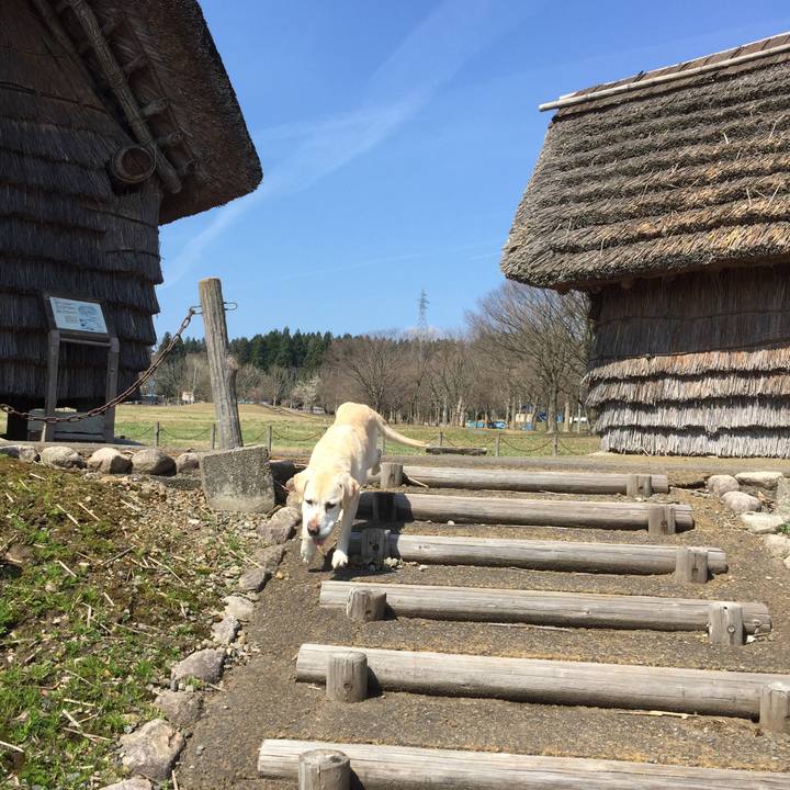 91e250fc 4bfd 4254 b0bd d9ce622f7e58 1523330529487