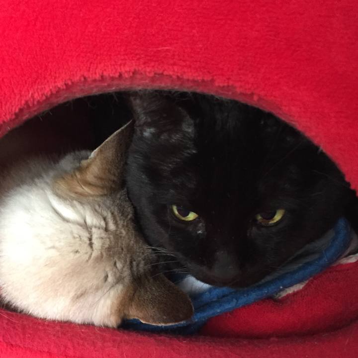 91e25b39 bece 4747 84c7 6947476d5742 1553474842663