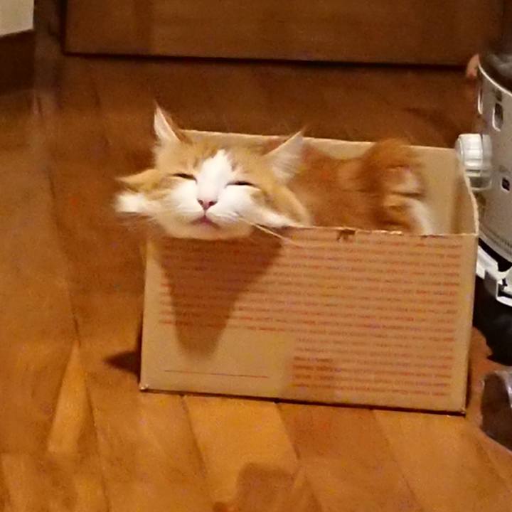 91e2d95a 5d04 4805 9e0e 739a33c8af88 1544102802432