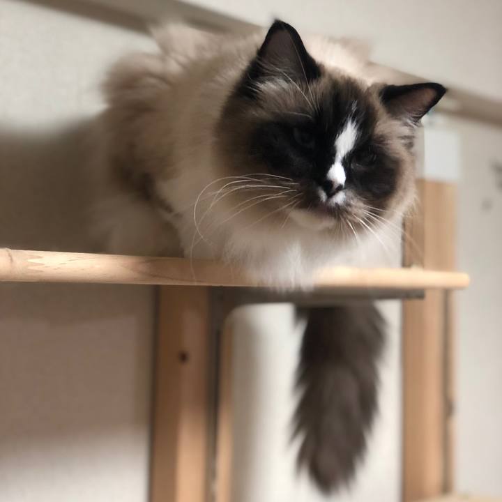 91e30b19 40c8 40ba 915e 7eaafab2c16c 1545308214947