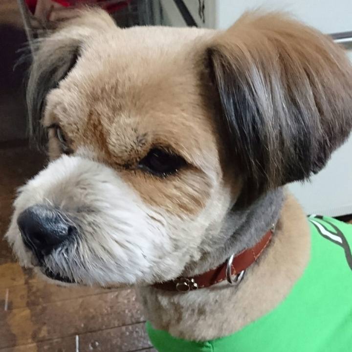 91e3423a 5175 4579 a143 a82a9e25e061 1520507778639