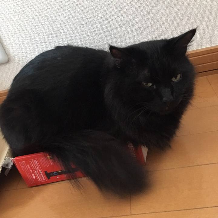 91e34e0c 8b5f 468e 8015 d83ba834d339 1512530506133