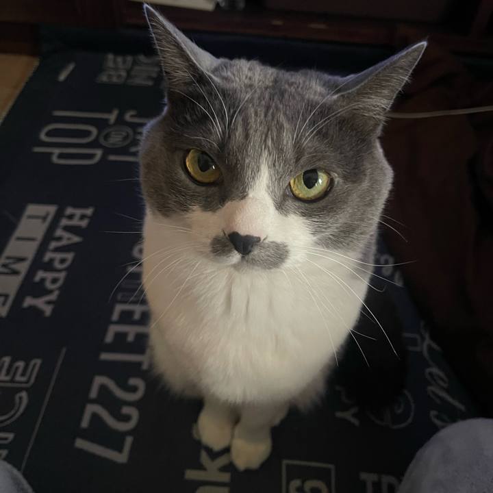 91e35151 f0fd 4a8f aa18 b115b6376d9c 1705560007943