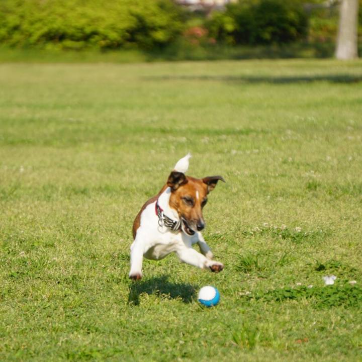 91e351c4 4634 4691 a728 b7e1b971c85a 1558652769115