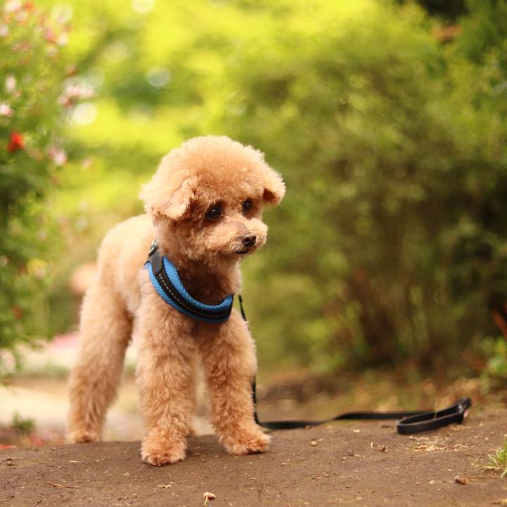 91e36261 2417 43c3 8ee1 30c23089adf8 1665150591263