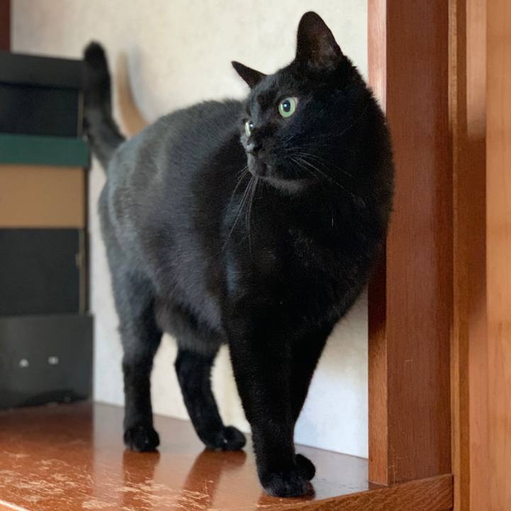 91e39b8d 2077 414a 80dc 84806896ff08 1576198955643