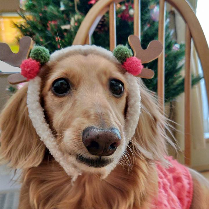 91e3c8a5 ba42 4d5f 82ed 8690e814d98c 1731130970221