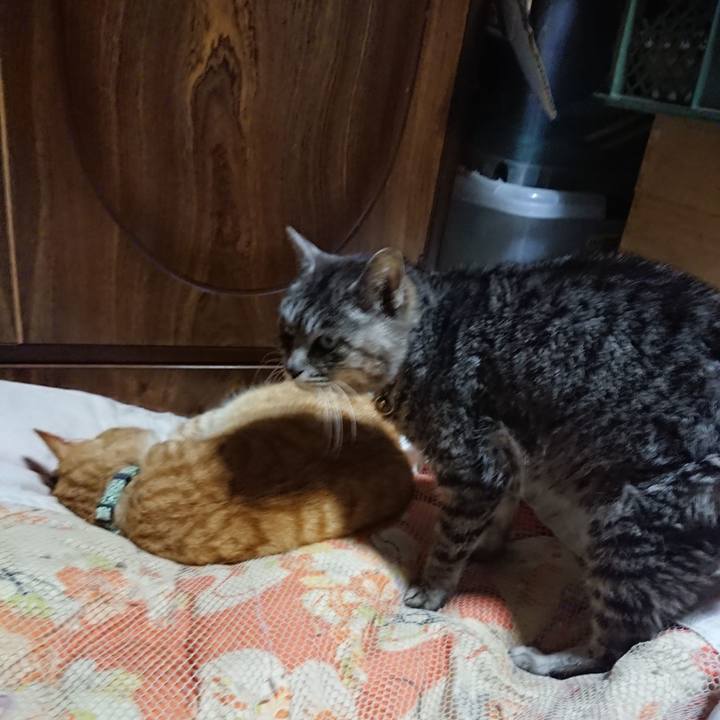 91e3cb7f bcb5 400a a98b 6bc20d7afd5f 1584273810792