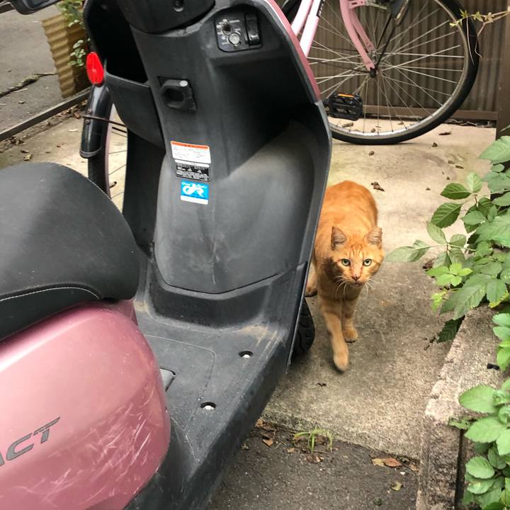 91e3cf0d 6190 4e6a 8dba c1b5b137bae7 1603577246189