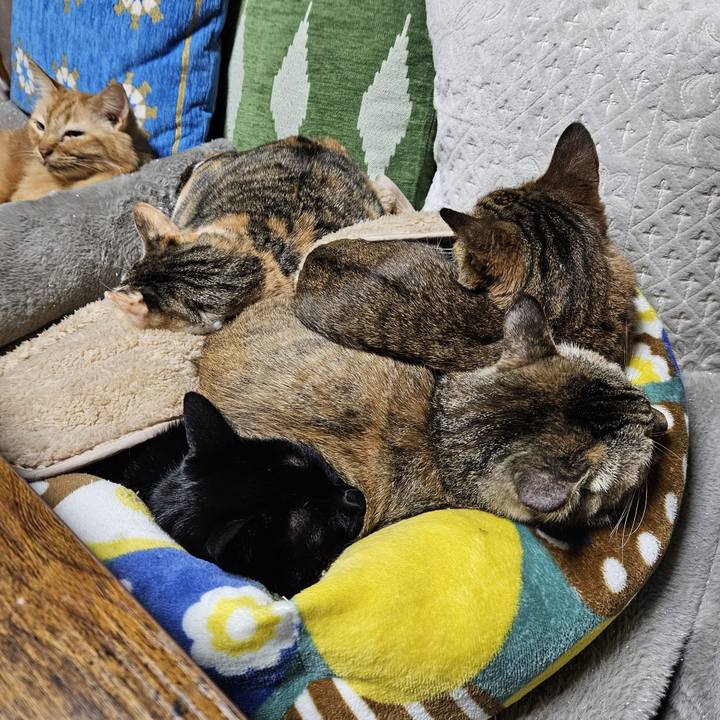 91e3d017 fd63 4084 8db9 e7c5a600306b 1763900464652