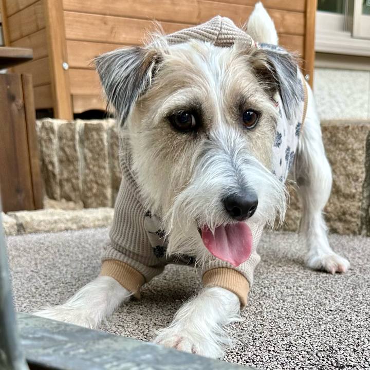 91e43aa2 db4e 4c76 9959 47d4c6a53ee6 1702977154380