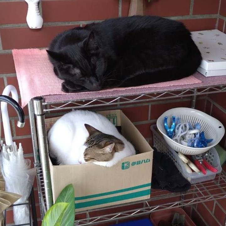 91e44e68 6461 480b a2a0 843705106d53 1718358949311