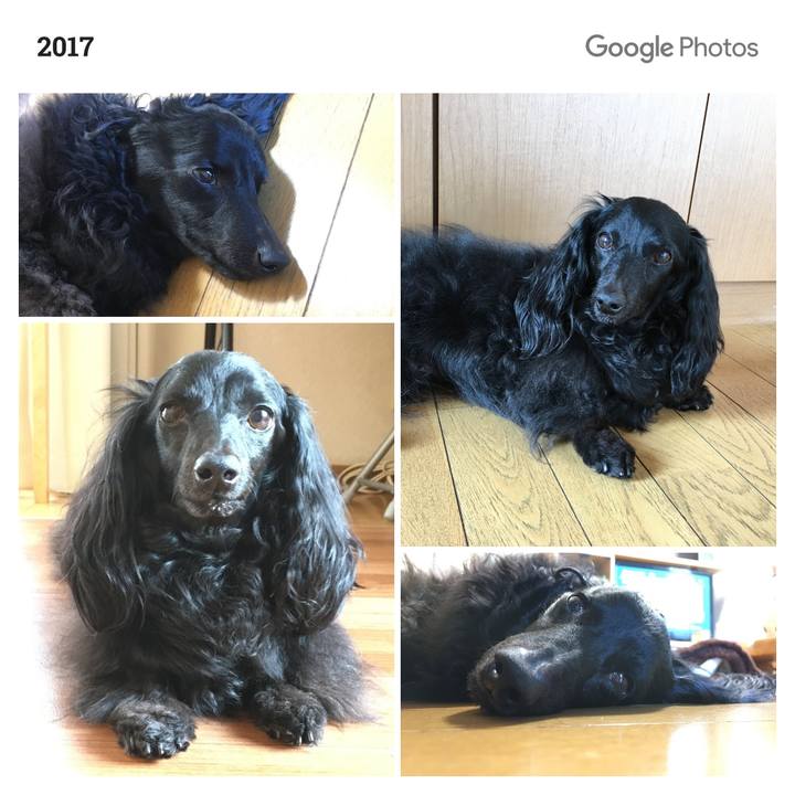 91e45840 0f39 440d b771 2186d84b3d02 1535119249575