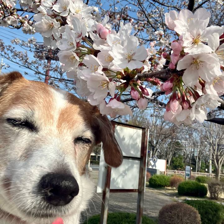 91e47d45 b5e9 4037 bd89 26cc71328486 1712467565725