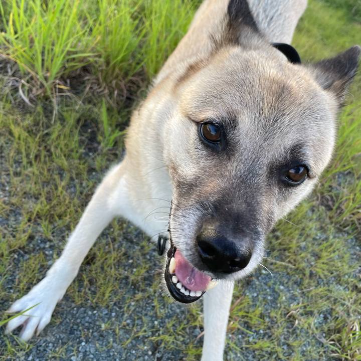 91e48534 68cb 49b8 a8b1 c231e4cb8a53 1722342035213