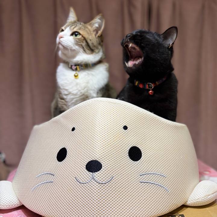 91e49fed ed00 4255 8638 cd447fc84dbf 1766383616062