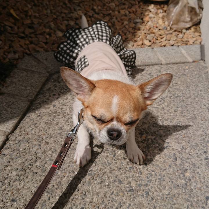 91e4ab9b 110b 47bf b1e3 29ccfb879674 1617953459057