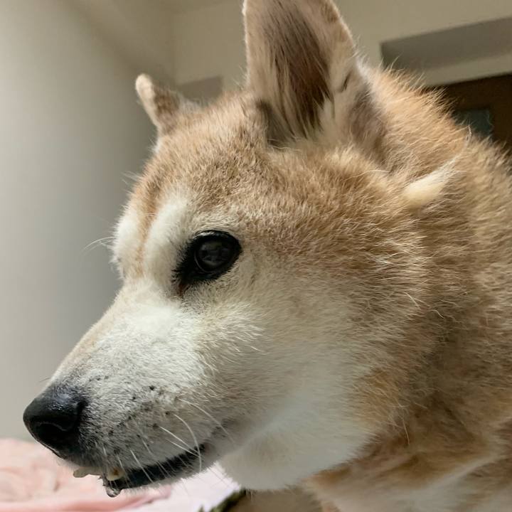 91e4c3f4 ba2a 4cfb b2bd 27b2be2a1881 1659796966006