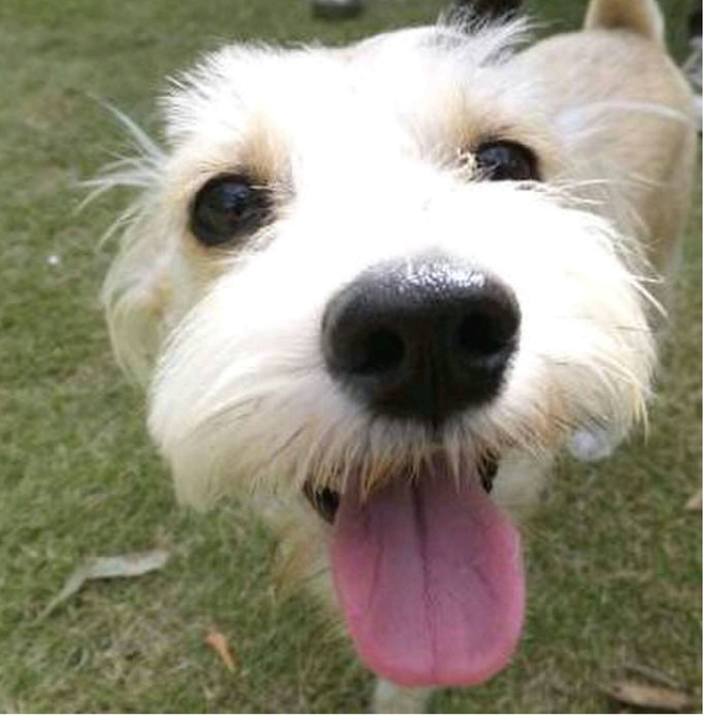 91e4e253 d414 4d27 a552 39258a5dd15e 1523507405062