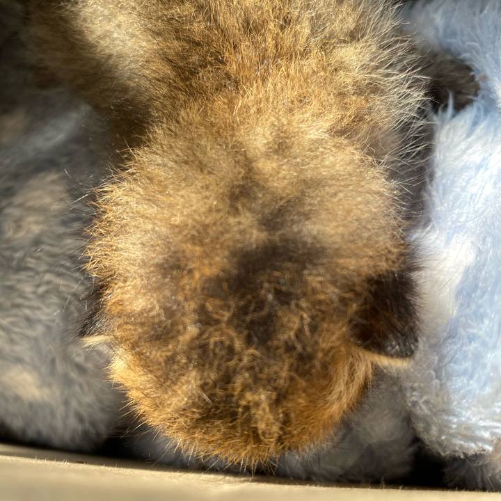 91e4eeb2 7722 4b38 a559 79f7ca780526 1618014693923