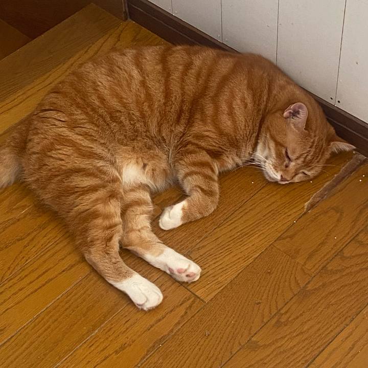 91e5504f d7da 48ae aef1 4586106d163d 1694307947959