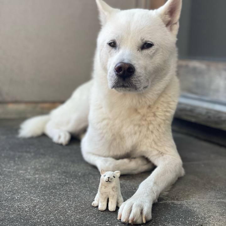 91e59b02 05eb 4051 891b 0b9d68615c47 1723120723748