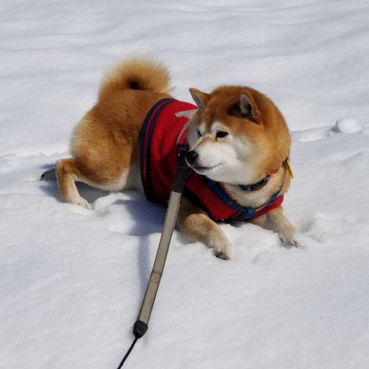 91e5b6e7 5f61 484e b326 569e445a2c3b 1552102303429