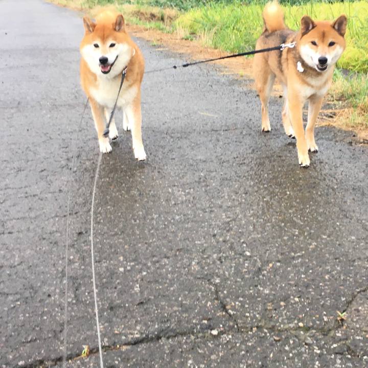 91e5d185 9625 44f3 9326 0cdc6b77b8a3 1628922201010