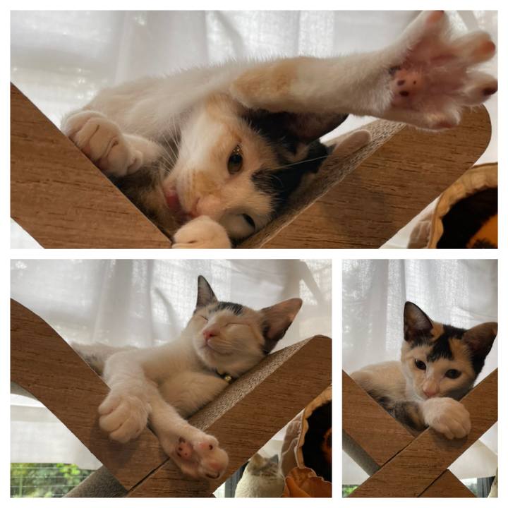 91e5e1c9 a578 456b 8f8c 75c4ec8f90b6 1661729907299