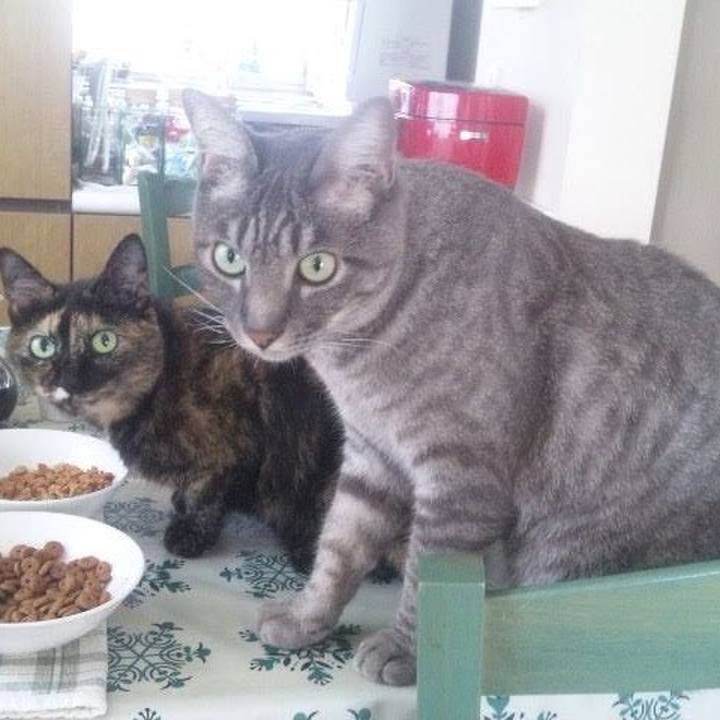 91e5e7b7 36c4 410e ac62 61f36c811207 1758940357715