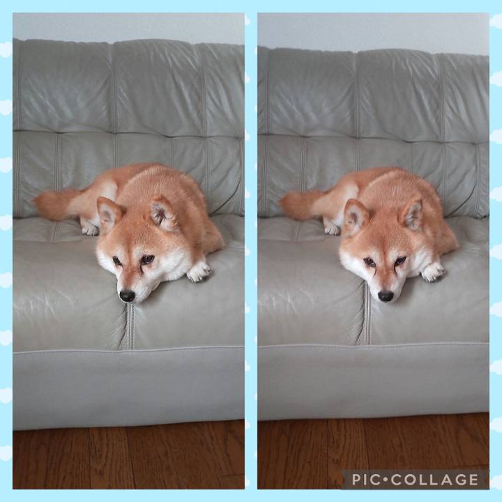 91e61257 cc7c 4fc7 97b1 3381566d9341 1752371311371