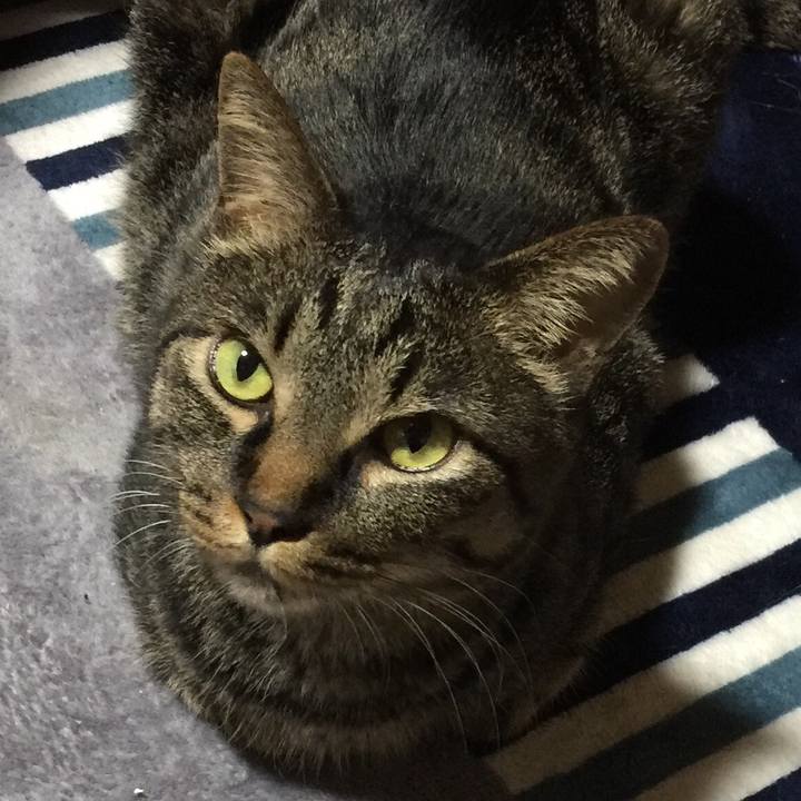 91e62282 116b 478c af35 1c616e38a86c 1548672789895