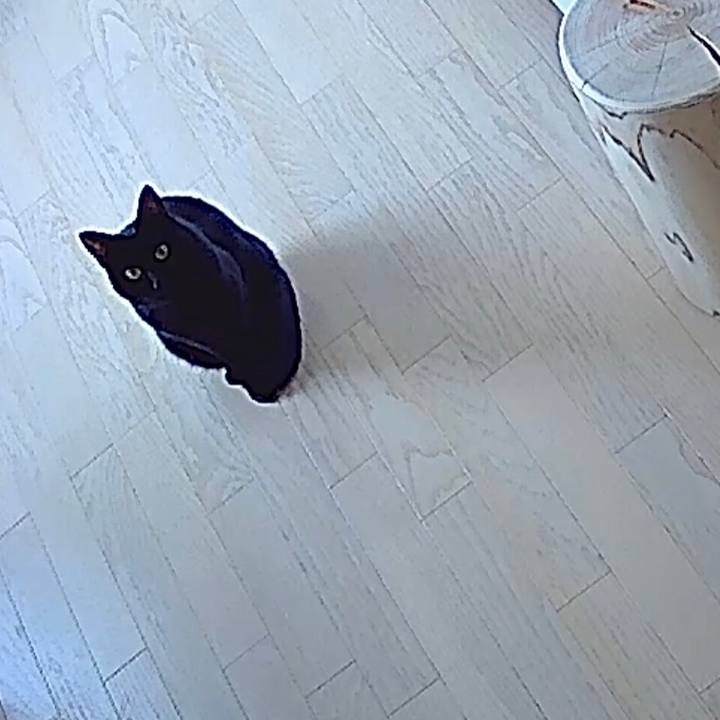 91e6230c b56f 4307 962b b58223406426 1544462100227